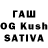 Галлюциногенные грибы GOLDEN TEACHER Konstantin Vasin
