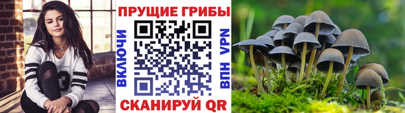 Псилоцибиновые грибы мухоморы  Купить  Сольцы 
