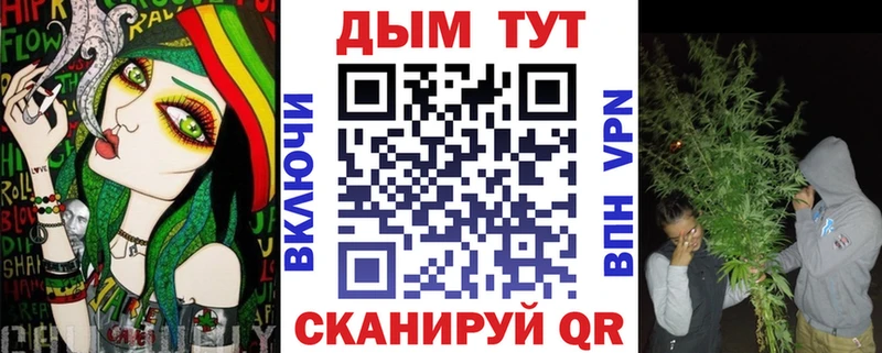 Канабис сатива  Купить где  Сольцы 